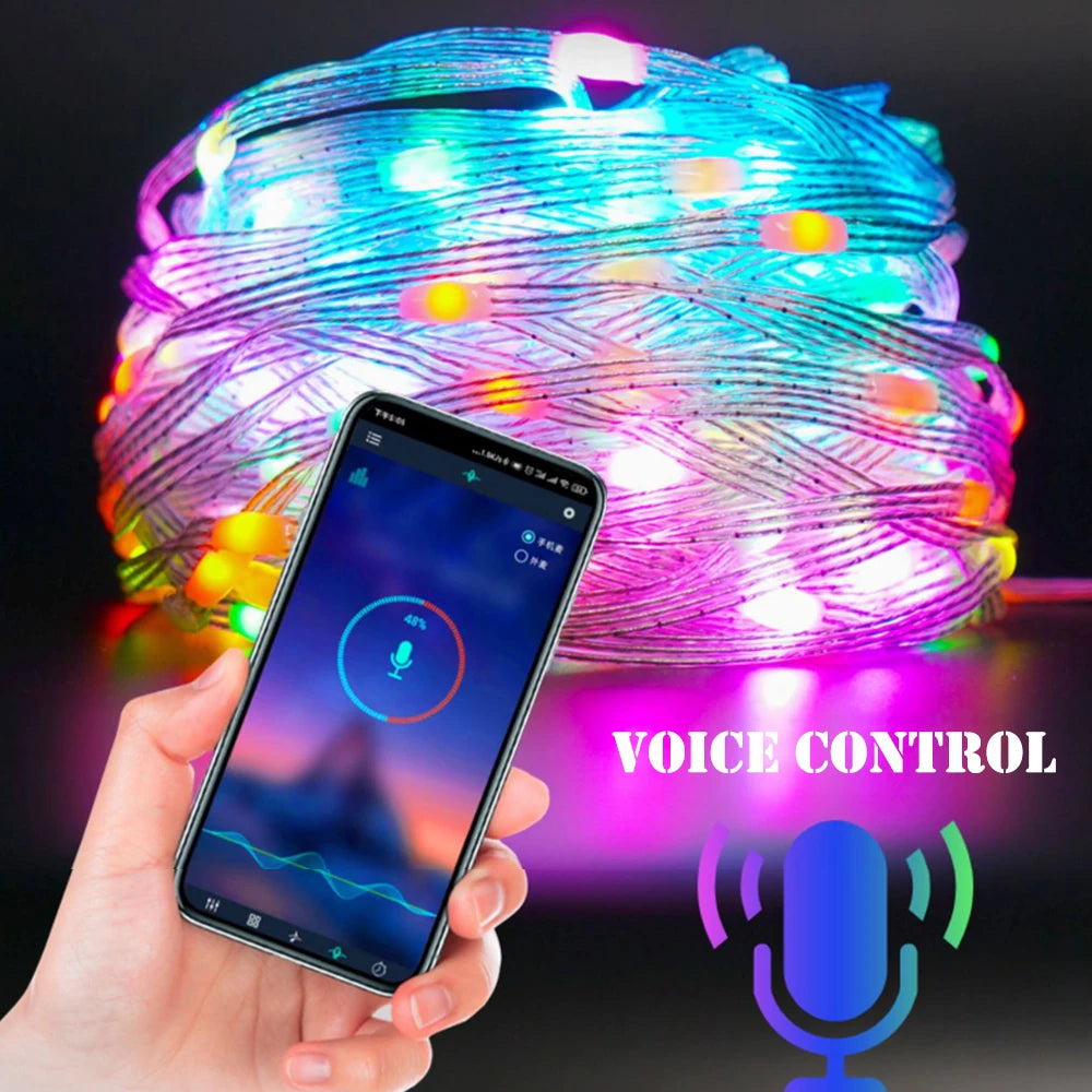 5M/10M/15M/20M/40M LED String Light App Control Garland IP65 Outdoor