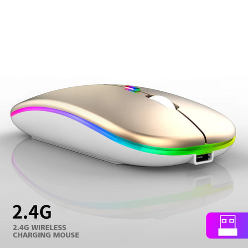 1600DPI 2.4Ghz Wireless Mouse Ergonomic Silent Mouse Rechargeable RGB