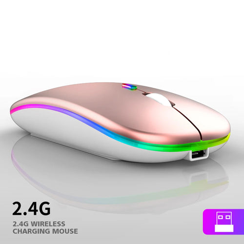 1600DPI 2.4Ghz Wireless Mouse Ergonomic Silent Mouse Rechargeable RGB