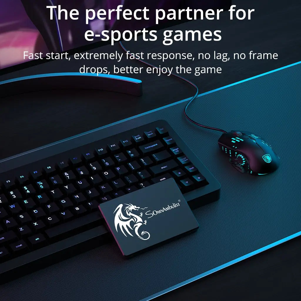 SomnAmbulist SSD 120GB 240GB 480GB 960GB Internal Sata3 Solid State