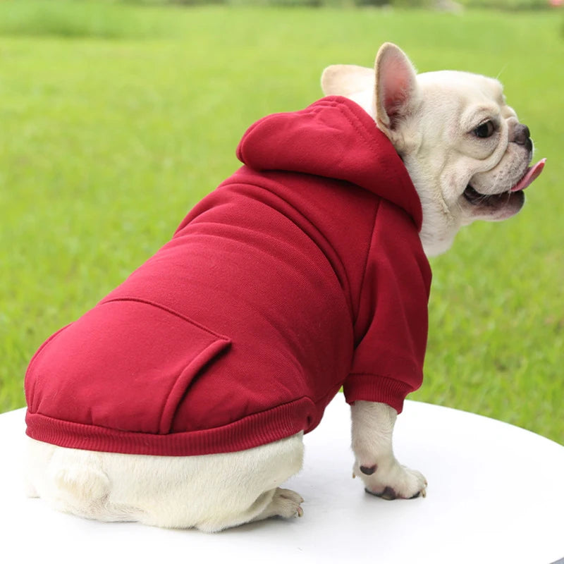 Fashion Dog Clothing Autumn And Winter Small Pet Clothes Thickening