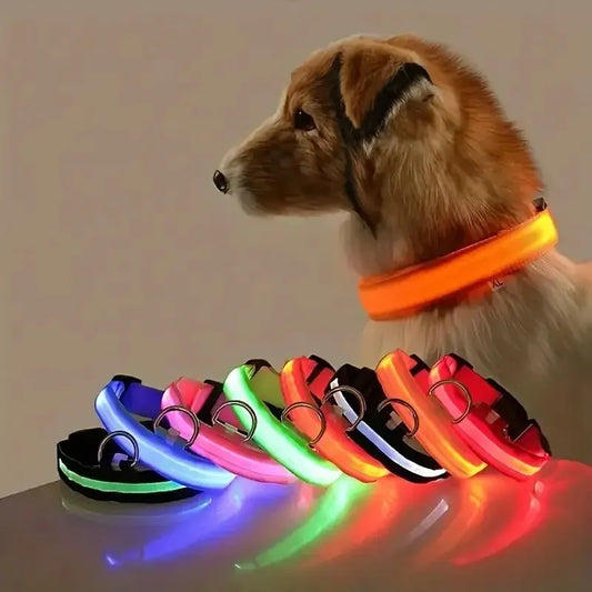 Nylon LED Night Safety Flashing Glow In The Dark Dog Leash Dogs