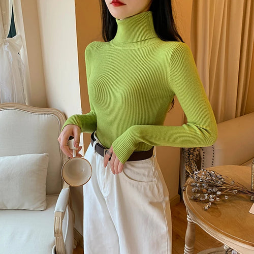 2024 Autumn Winter Women Long Sleeve Knitted Foldover Turtleneck