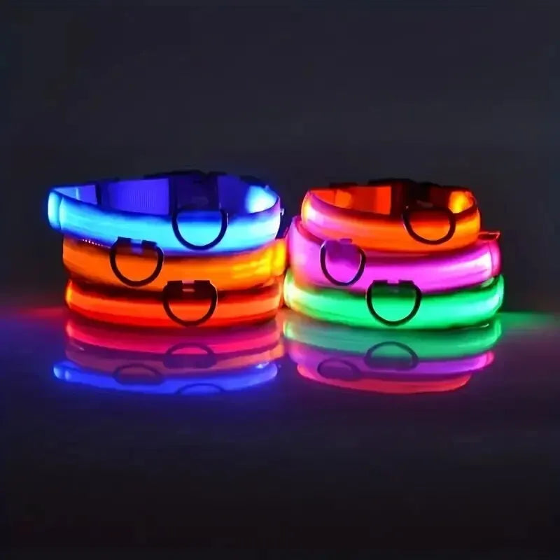 Nylon LED Night Safety Flashing Glow In The Dark Dog Leash Dogs