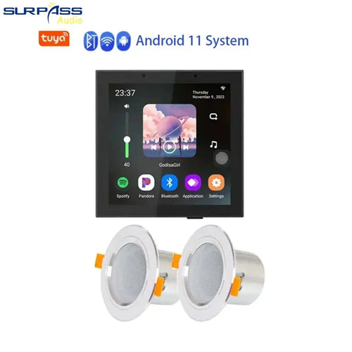Smart Home Wall Amplifier Android 11 System 8ohm 4 Inch Tuya WiFi