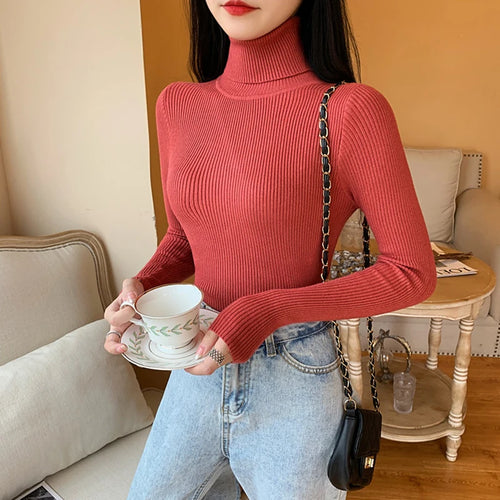 2024 Autumn Winter Women Long Sleeve Knitted Foldover Turtleneck