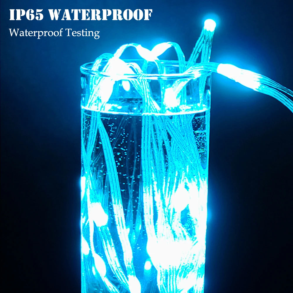 5M/10M/15M/20M/40M LED String Light App Control Garland IP65 Outdoor
