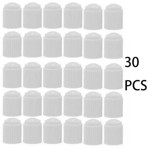30PCSTire Valves ABS Plastic Automobile Bicycle Tyre Valve Cap Dust