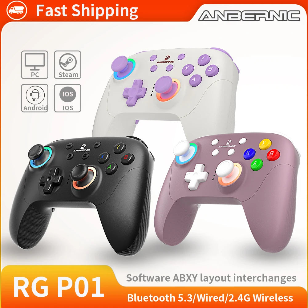 ANBERNIC RG P01 RGP01 Gamepad Wired Wireless Bluetooth RGB Hall Effect