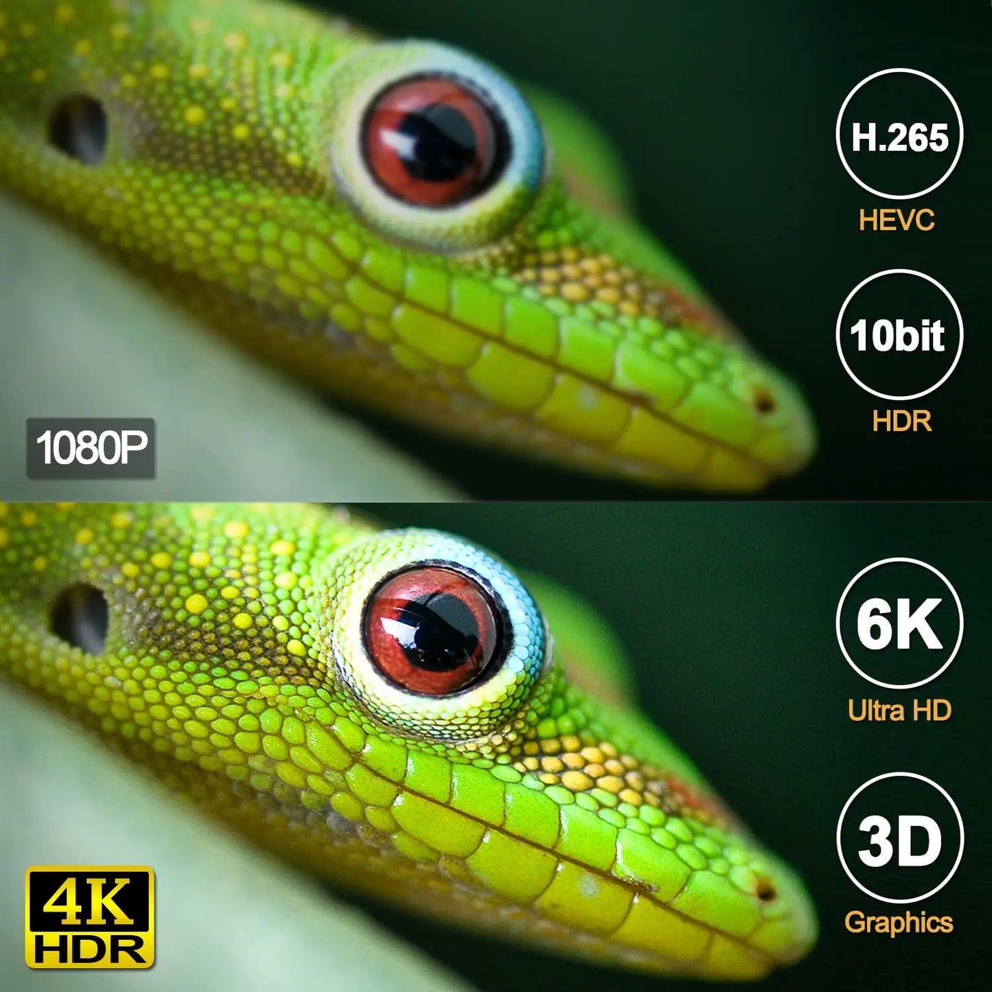 T95 TV Box Android 14 4GB 64GB 128GB Allwinner H616 Quad Core Support