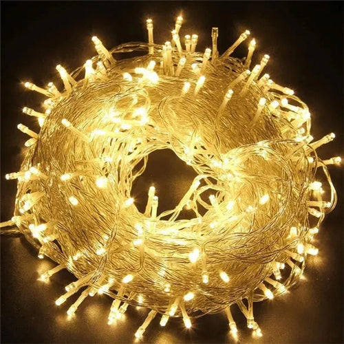 Tail Plug 220V EU Plug 10M Christmas LED String Light Garlands