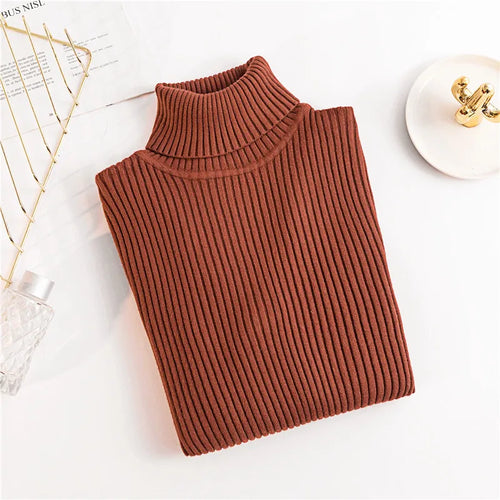 2024 Autumn Winter Women Long Sleeve Knitted Foldover Turtleneck
