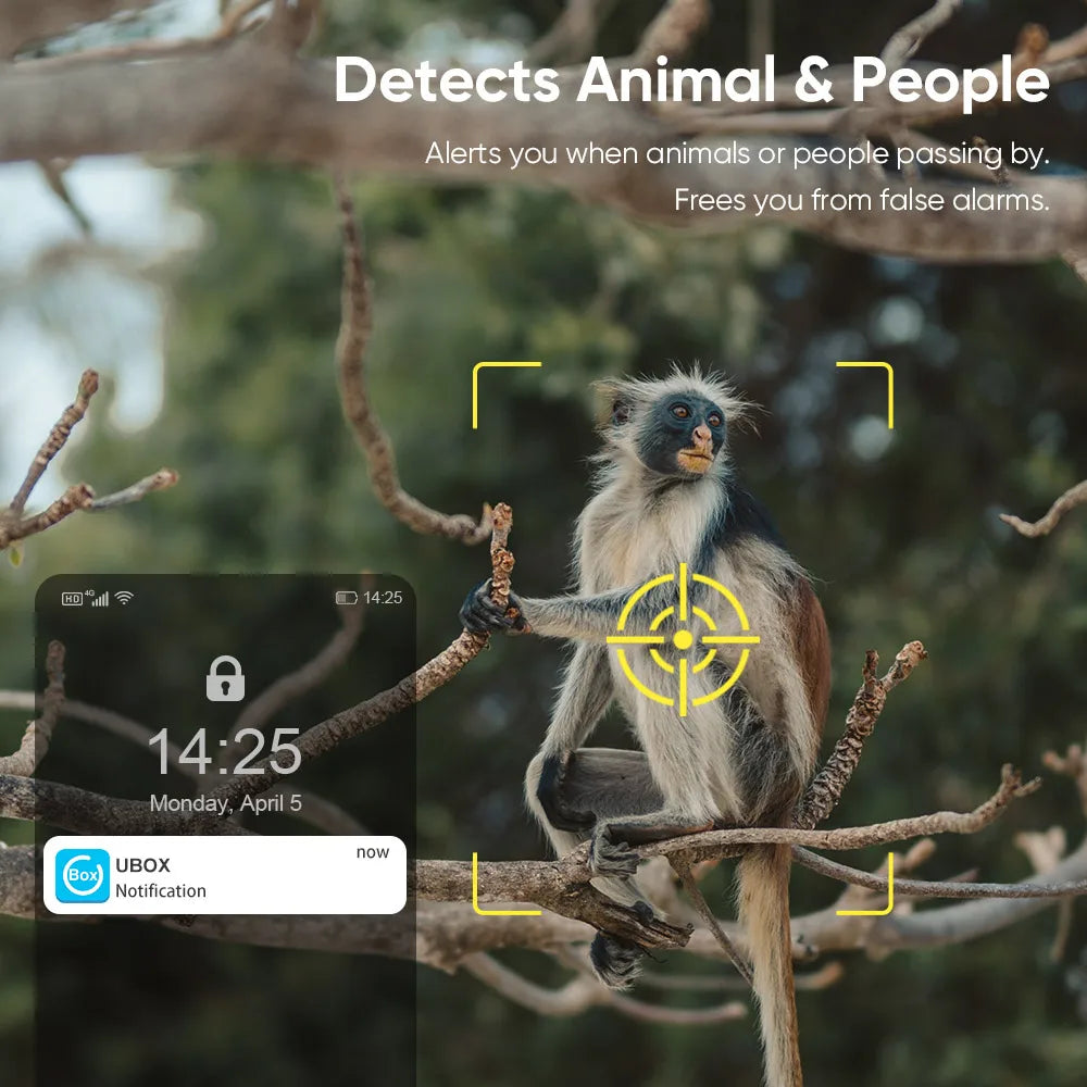 LS VISION 4G SIM Solar Security Cameras Wireless Outdoor  2K HD Video