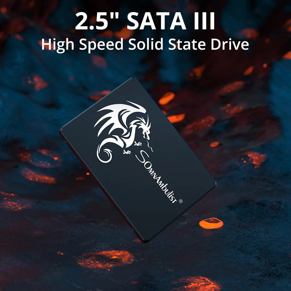 SomnAmbulist SSD 120GB 240GB 480GB 960GB Internal Sata3 Solid State