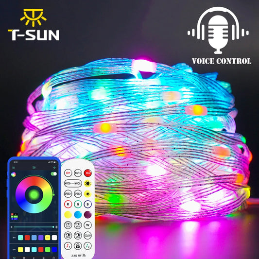 5M/10M/15M/20M/40M LED String Light App Control Garland IP65 Outdoor