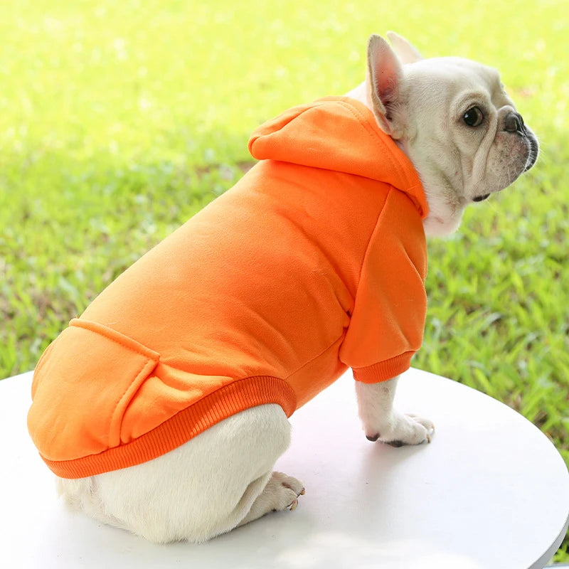 Fashion Dog Clothing Autumn And Winter Small Pet Clothes Thickening