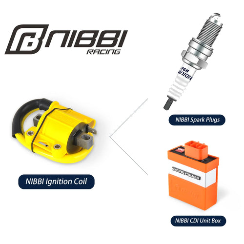 NIBBI CDI Box Ignition Coil CDI Racing for ZhongShen NC250 NC300